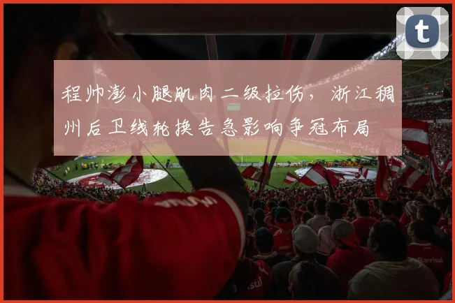 程帅澎小腿肌肉二级拉伤，浙江稠州后卫线轮换告急影响争冠布局