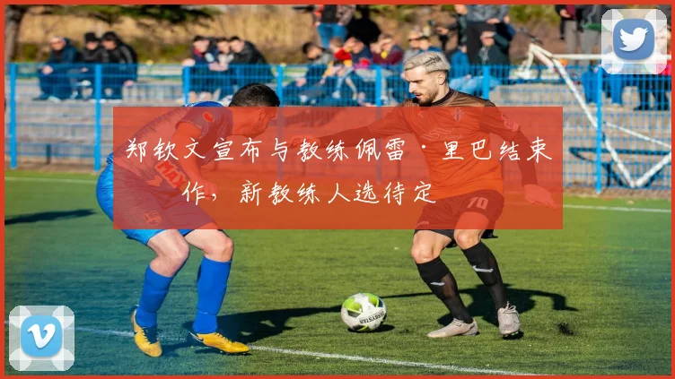 郑钦文宣布与教练佩雷·里巴结束合作，新教练人选待定